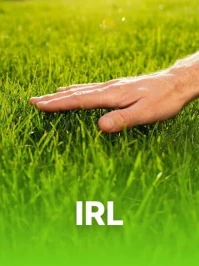 IRL